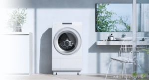 Máy giặt nội địa Nhật