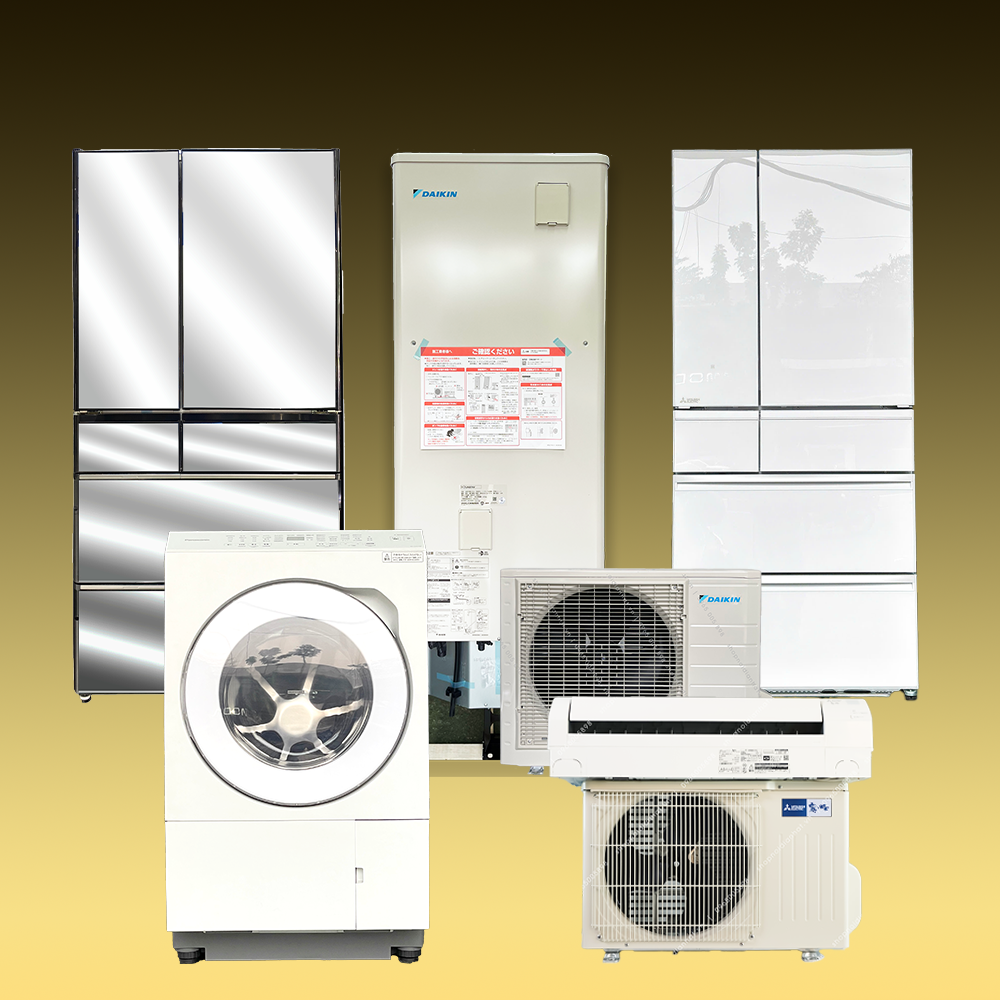 Giới thiệu 2 Điện máy Bảo Anh